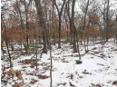 8.59+/- ACRES Lyndon Rd, Lyndon Station, WI 53944