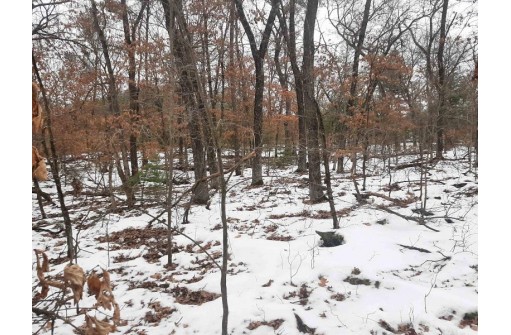 8.59+/- ACRES Lyndon Rd, Lyndon Station, WI 53944