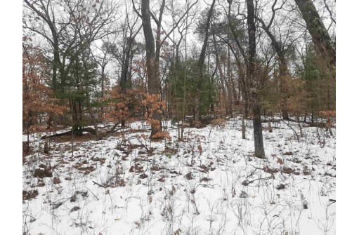 8.59+/- ACRES Lyndon Rd, Lyndon Station, WI 53944