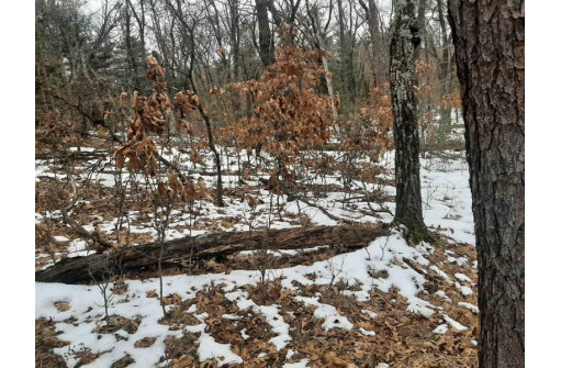 8.59+/- ACRES Lyndon Rd, Lyndon Station, WI 53944