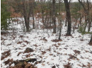 8.59+/- ACRES Lyndon Rd, Lyndon Station, WI 53944