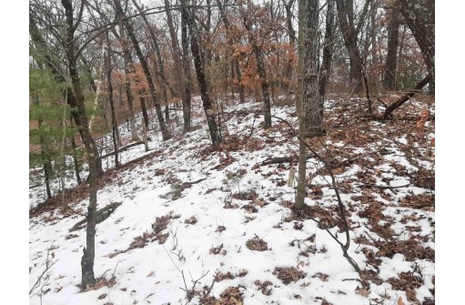 8.59+/- ACRES Lyndon Rd, Lyndon Station, WI 53944