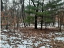 8.59+/- ACRES Lyndon Rd, Lyndon Station, WI 53944