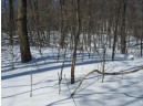 31.30 AC Fish Hollow Rd, Hillsboro, WI 54634