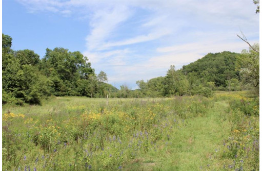 31.30 AC Fish Hollow Rd, Hillsboro, WI 54634