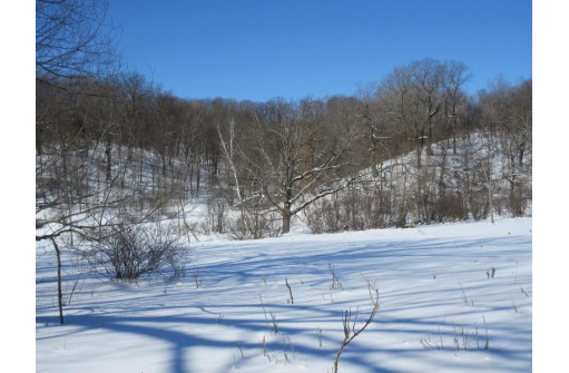 31.30 AC Fish Hollow Rd, Hillsboro, WI 54634