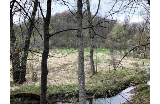 95 ACRES Red Wing Ln, Muscoda, WI 53581