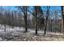 95 ACRES Red Wing Ln, Muscoda, WI 53581