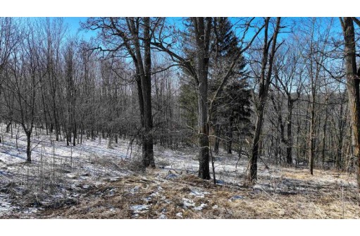 95 ACRES Red Wing Ln, Muscoda, WI 53581