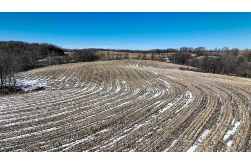 95 ACRES Red Wing Ln, Muscoda, WI 53581