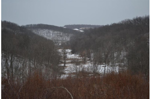 95 ACRES Red Wing Ln, Muscoda, WI 53581