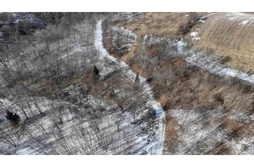 95 ACRES Red Wing Ln, Muscoda, WI 53581