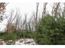 LOT15 Timber Tr, Spring Green, WI 53503