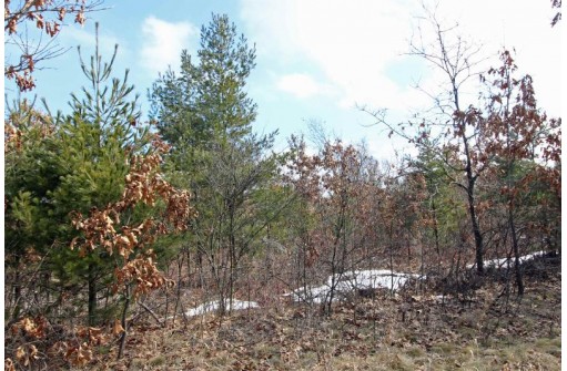 LOT15 Timber Tr, Spring Green, WI 53503