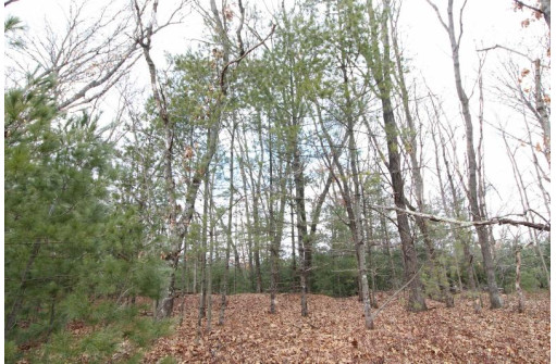 LOT15 Timber Tr, Spring Green, WI 53503