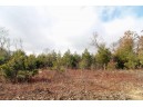 LOT15 Timber Tr, Spring Green, WI 53503