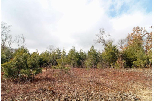 LOT15 Timber Tr, Spring Green, WI 53503