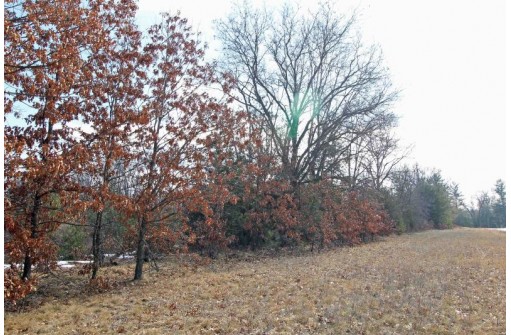 LOT15 Timber Tr, Spring Green, WI 53503