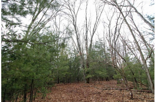 LOT15 Timber Tr, Spring Green, WI 53503