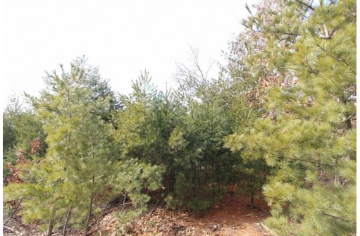 LOT15 Timber Tr, Spring Green, WI 53503