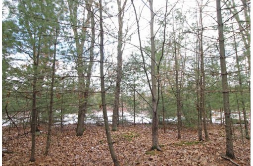 LOT15 Timber Tr, Spring Green, WI 53503