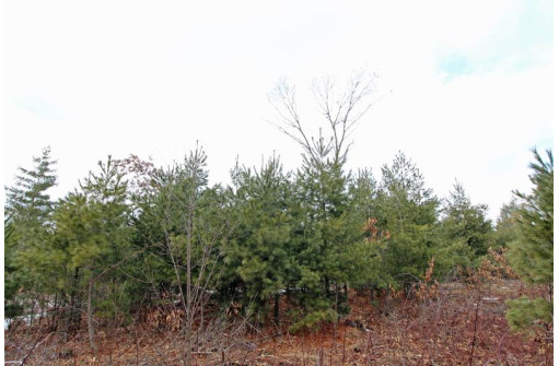 LOT15 Timber Tr, Spring Green, WI 53503