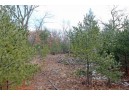 LOT15 Timber Tr, Spring Green, WI 53503