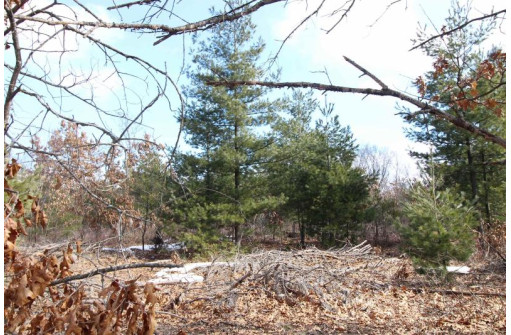 LOT15 Timber Tr, Spring Green, WI 53503