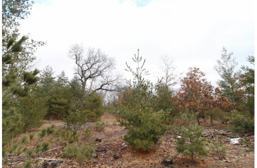 LOT16 Timber Tr, Spring Green, WI 53503