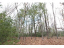 LOT16 Timber Tr, Spring Green, WI 53503