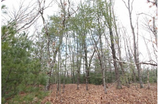 LOT16 Timber Tr, Spring Green, WI 53503