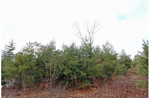 LOT16 Timber Tr, Spring Green, WI 53503