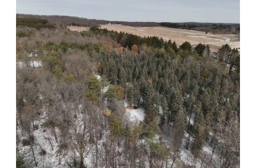 N4290 Pine Dr, Montello, WI 53949