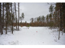 N8275 Woodland Tr, New Lisbon, WI 53950