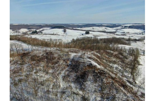 80 ACRES Overbrook Ave, Elroy, WI 53929