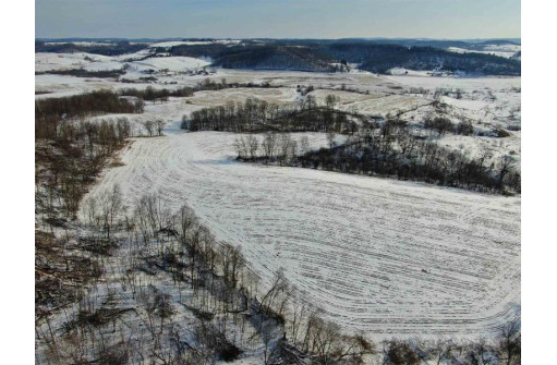 80 ACRES Overbrook Ave, Elroy, WI 53929