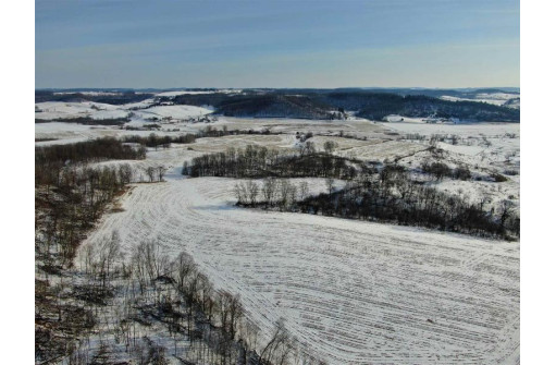 80 ACRES Overbrook Ave, Elroy, WI 53929