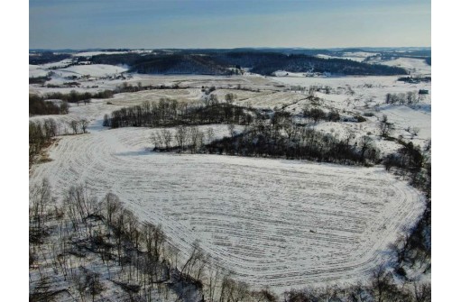 80 ACRES Overbrook Ave, Elroy, WI 53929