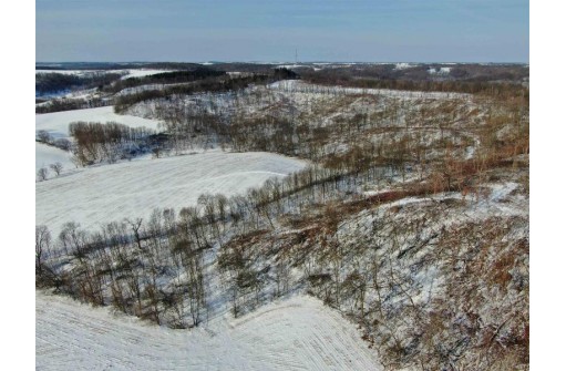 80 ACRES Overbrook Ave, Elroy, WI 53929