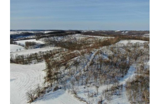 80 ACRES Overbrook Ave, Elroy, WI 53929