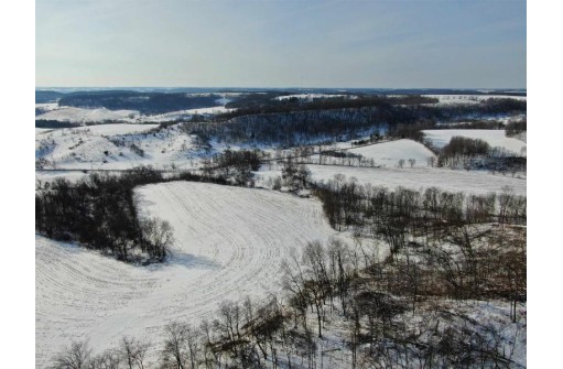 80 ACRES Overbrook Ave, Elroy, WI 53929