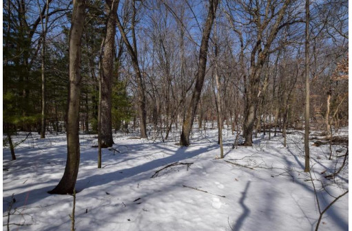 LOT 86-LOT 87 Christmas Mountain Dr, Wisconsin Dells, WI 53965