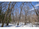 LOT 86-LOT 87 Christmas Mountain Dr, Wisconsin Dells, WI 53965