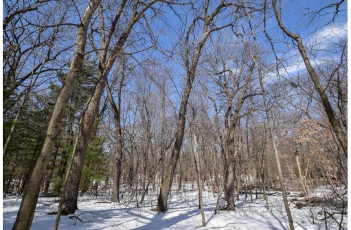 LOT 86-LOT 87 Christmas Mountain Dr, Wisconsin Dells, WI 53965