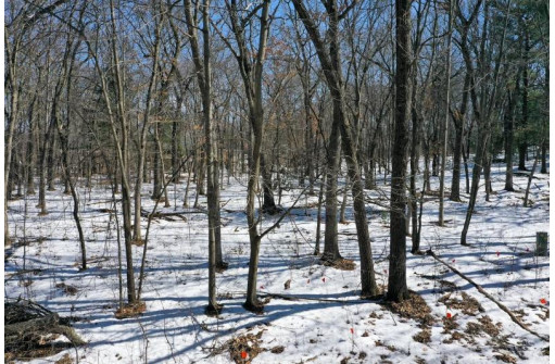 LOT 86-LOT 87 Christmas Mountain Dr, Wisconsin Dells, WI 53965