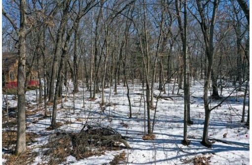 LOT 86-LOT 87 Christmas Mountain Dr, Wisconsin Dells, WI 53965