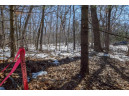 LOT 86-LOT 87 Christmas Mountain Dr, Wisconsin Dells, WI 53965