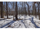 LOT 86-LOT 87 Christmas Mountain Dr, Wisconsin Dells, WI 53965