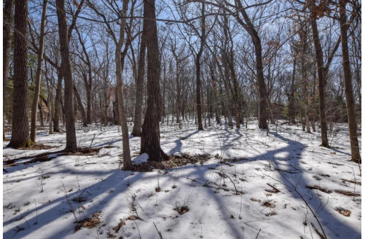 LOT 86-LOT 87 Christmas Mountain Dr, Wisconsin Dells, WI 53965