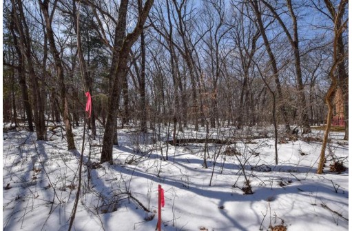 LOT 86-LOT 87 Christmas Mountain Dr, Wisconsin Dells, WI 53965